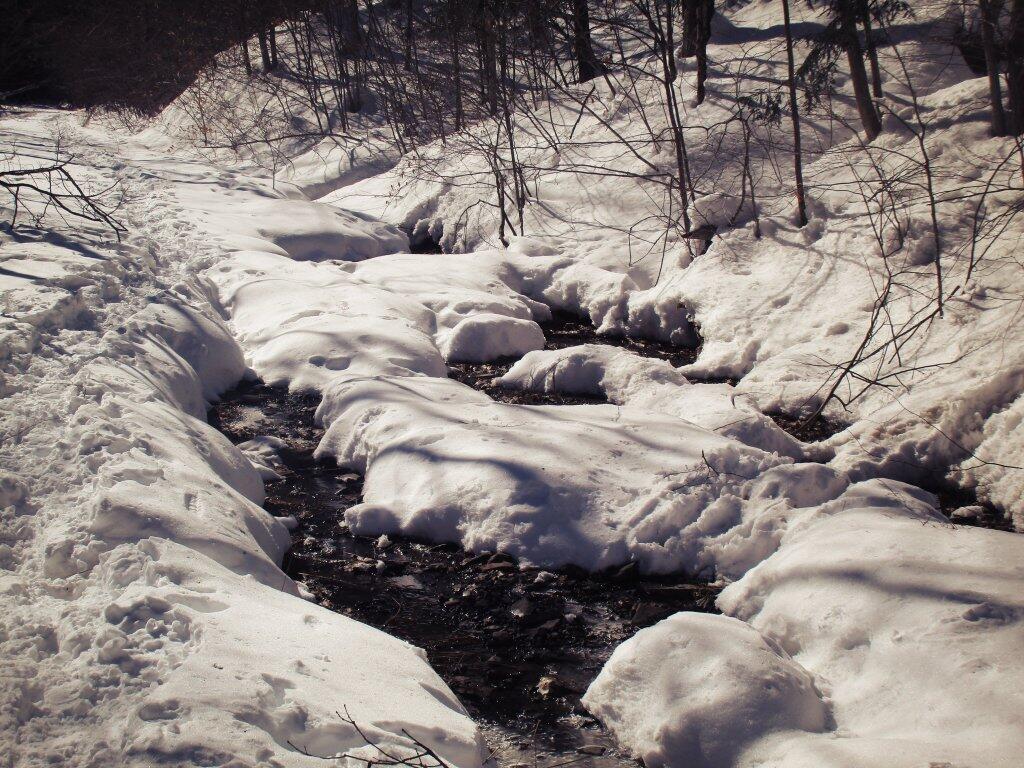 Photo: Melted