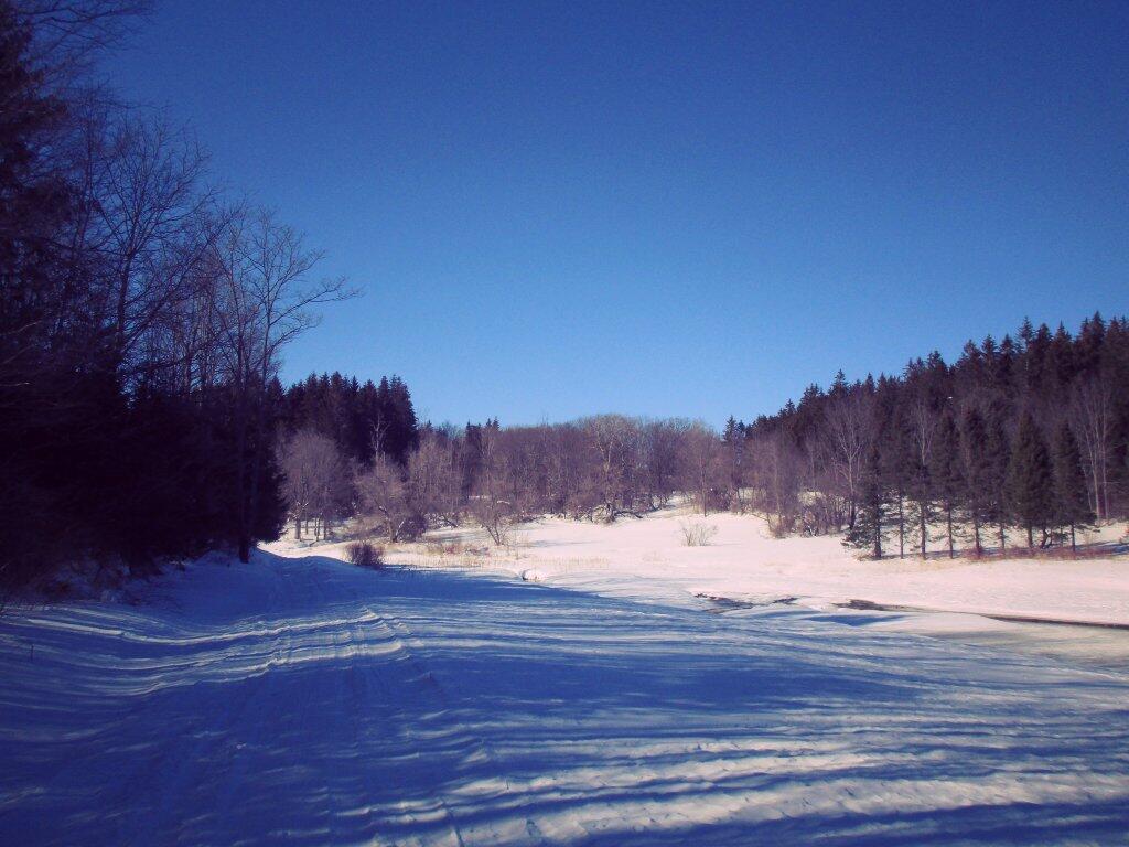 Photo: Thawing A Bit