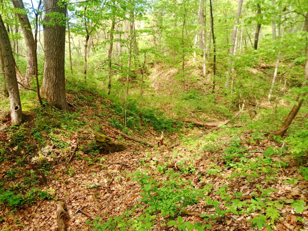 Photo: Creek [Expires May 24 2026]