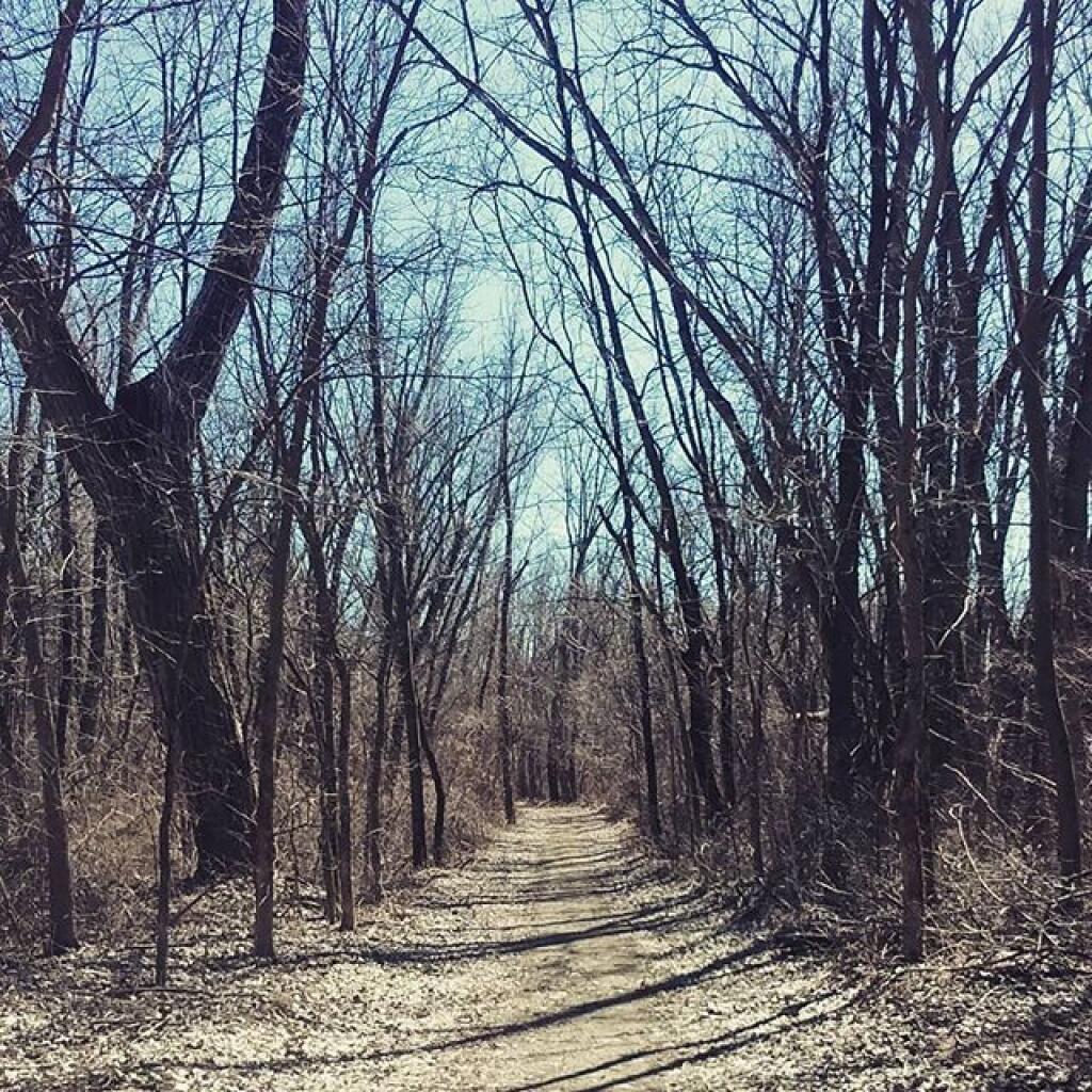 Photo: Path