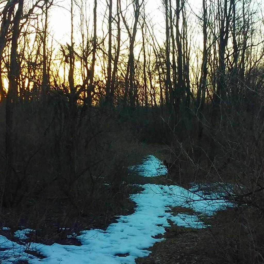 Photo: Dusk