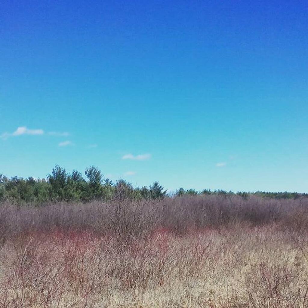 Photo: Field