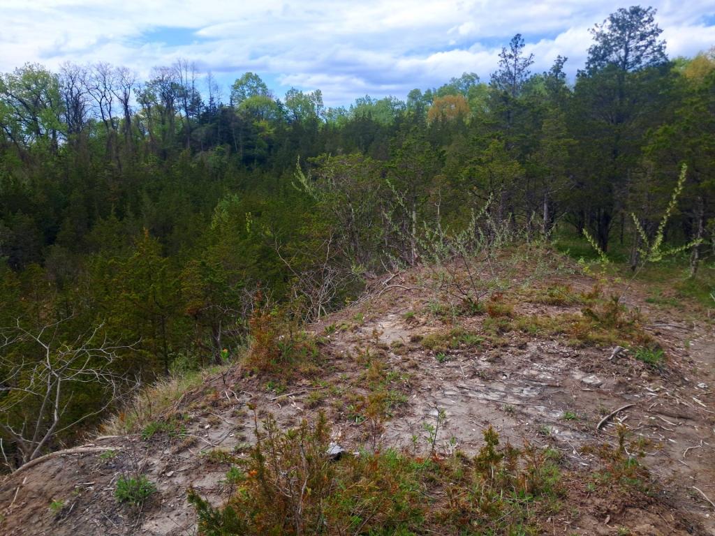Photo: Above the old clay pit [Expires May 24 2026]