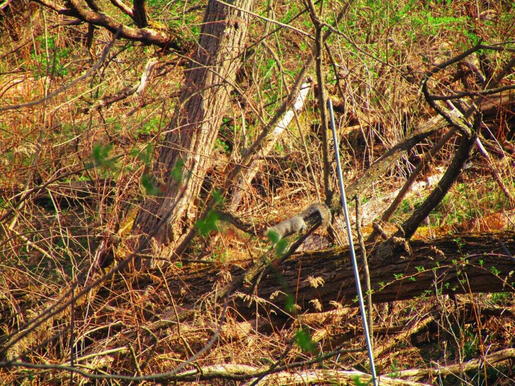 Photo: Cautious