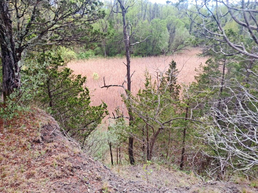Photo: Mined out area now wetlands [Expires May 24 2026]