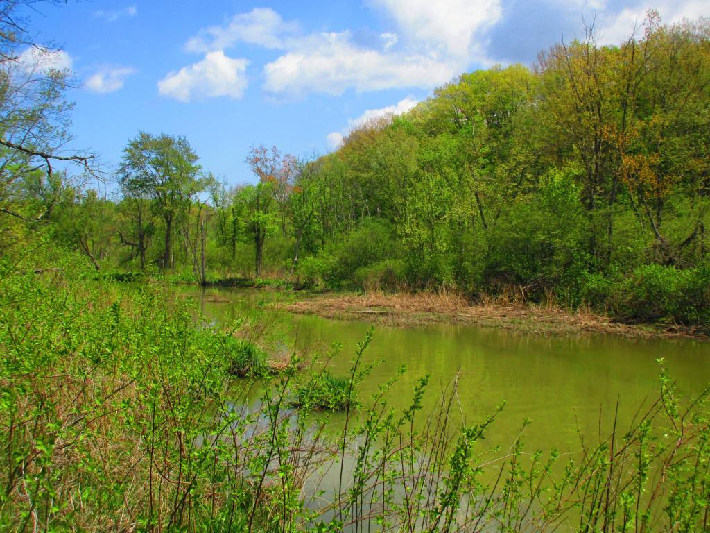 Photo: Mill Creek