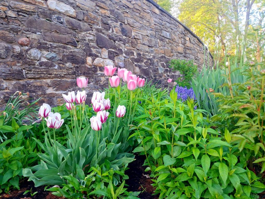 Photo: Gardens [Expires May 26 2026]