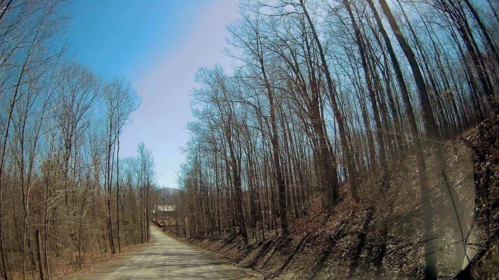Photo: A Wilderness Of Sorts