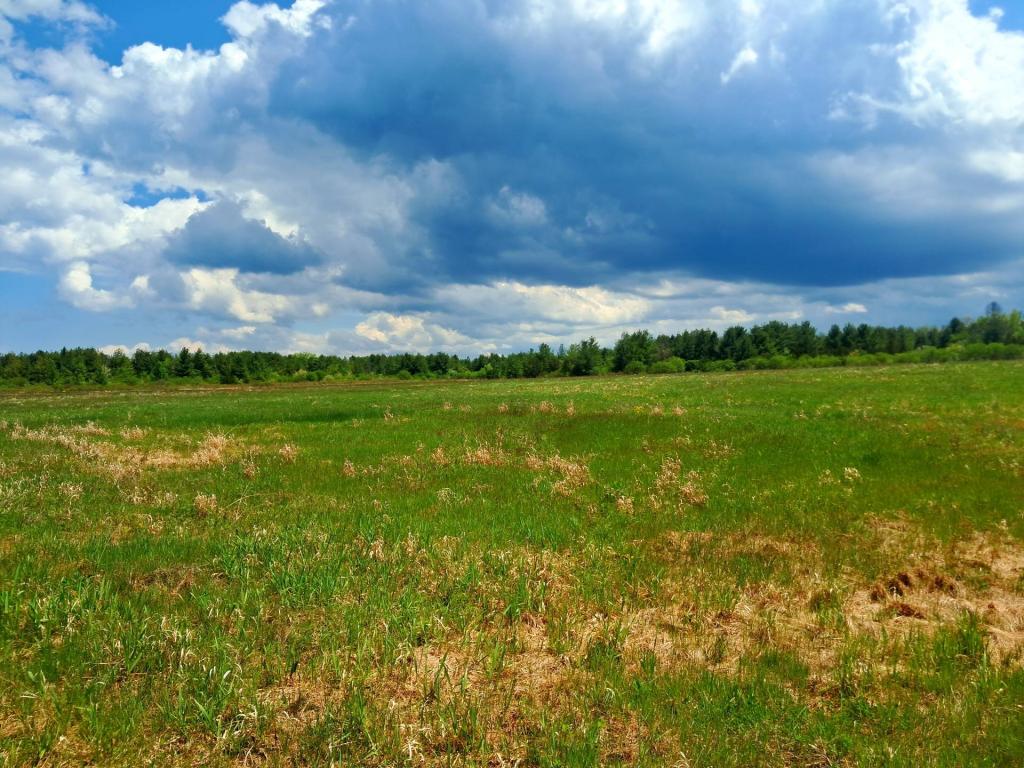 Photo: Fields