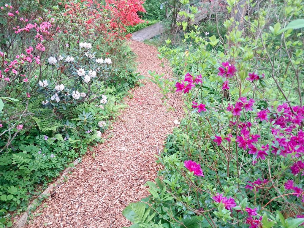 Photo: Path [Expires June 6 2026]