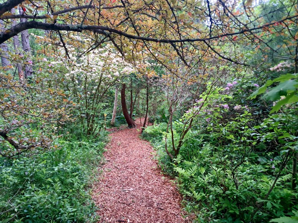 Photo: Path [Expires June 6 2026]
