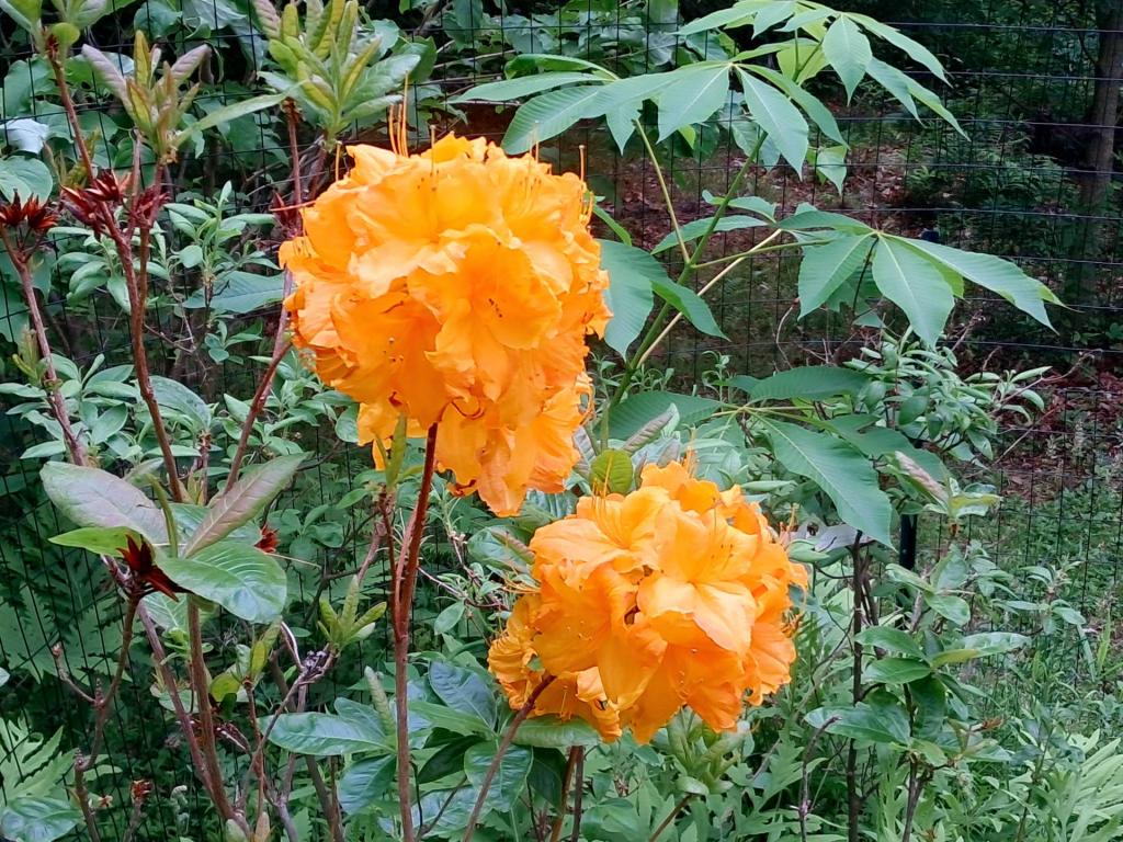 Photo: Untitled [Expires June 6 2026]