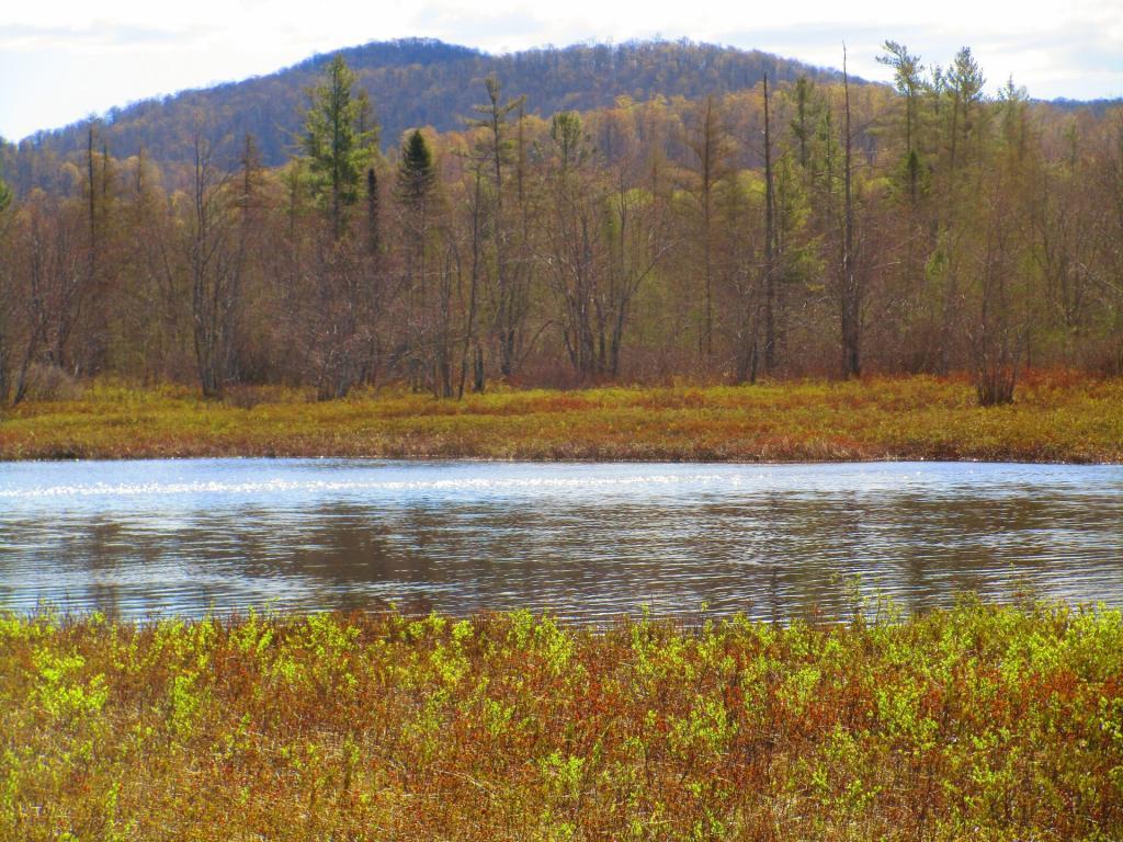 Photo: Sacandaga River now that spring is awakening