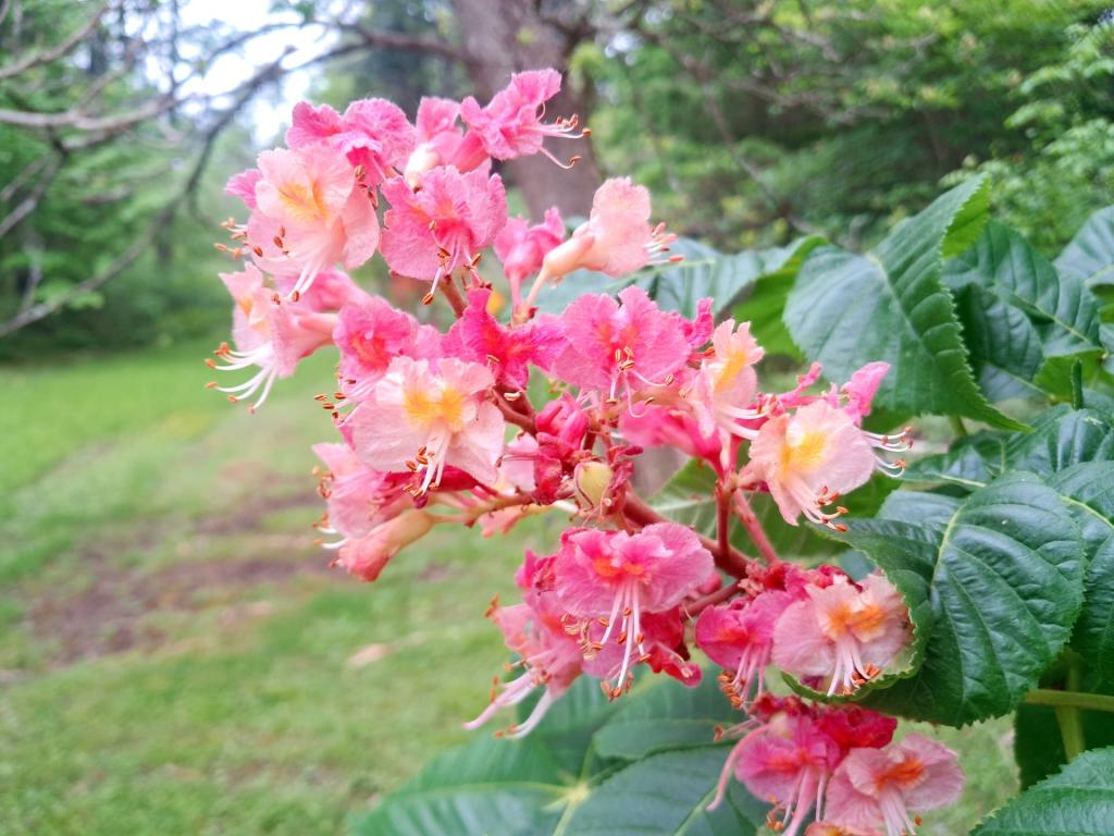 Photo: Untitled [Expires June 6 2026]