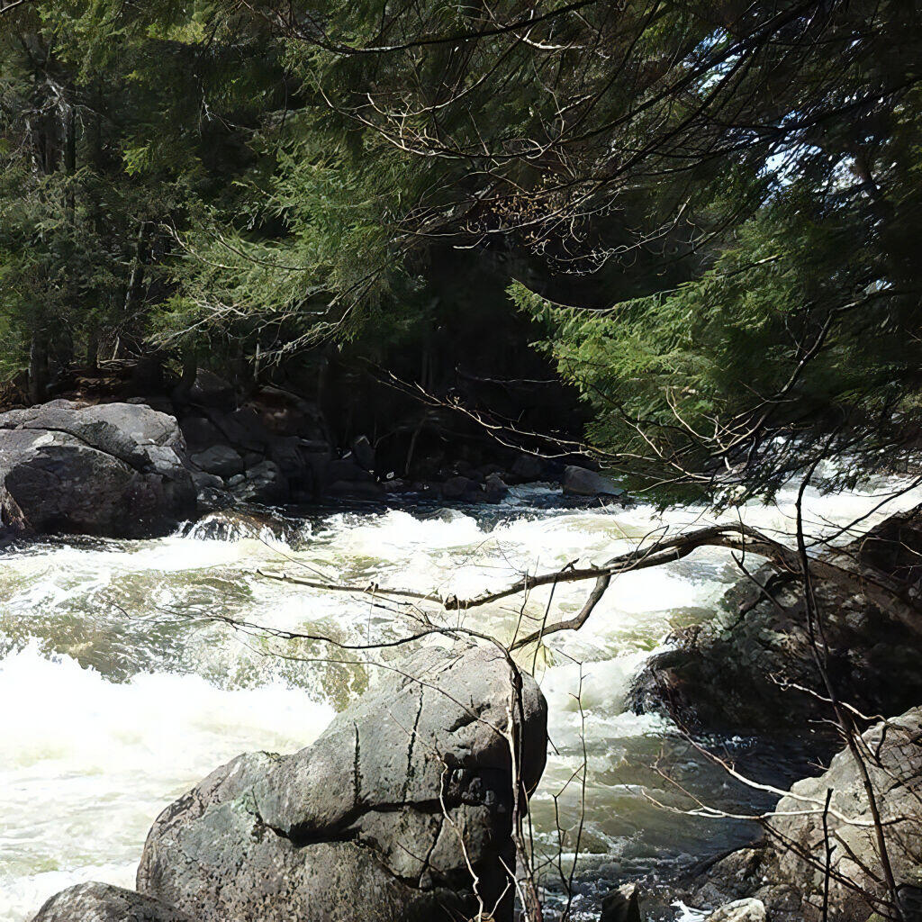 Photo: Lots of white water