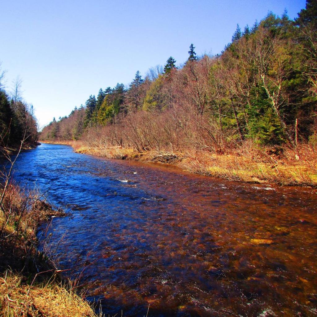 Photo: East Branch
