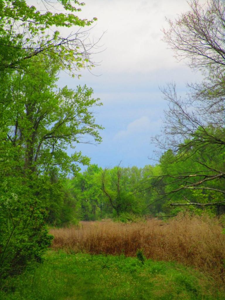 Photo: Field [Expires May 24 2026]