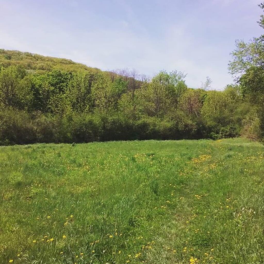 Photo: Beautiful day