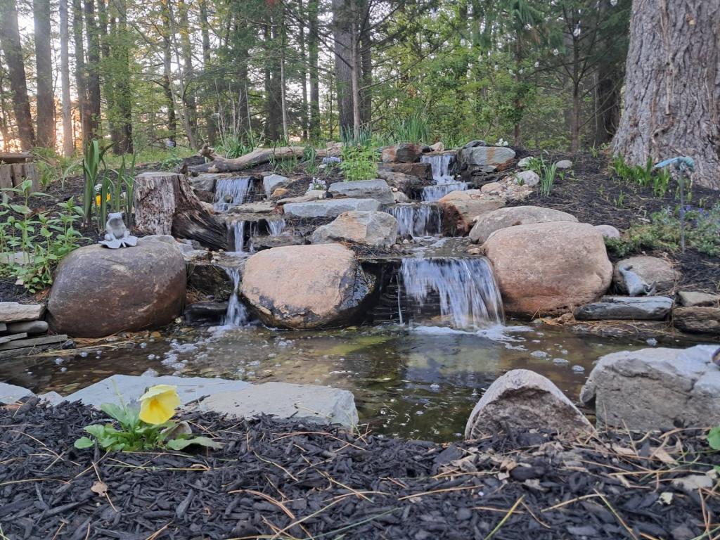 Photo: Waterfall [Expires May 17 2026]