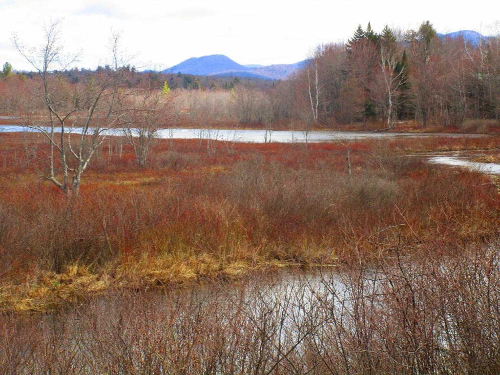 Photo: Sacandaga River South of Spectulator