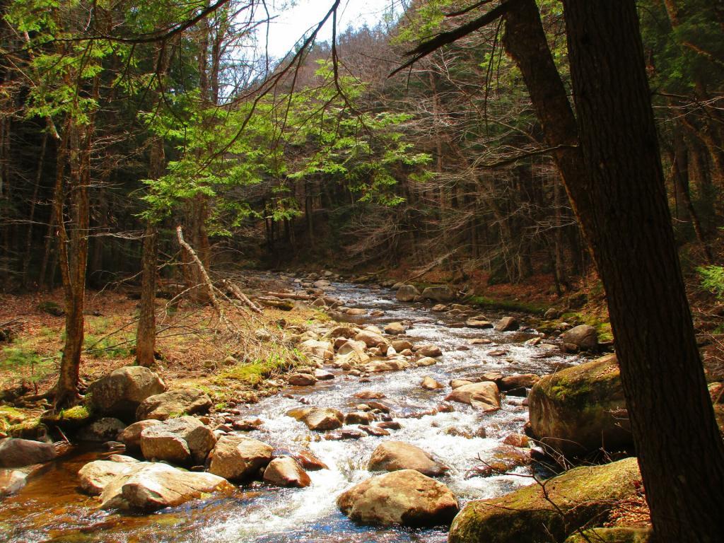 Photo: Tenant Creek