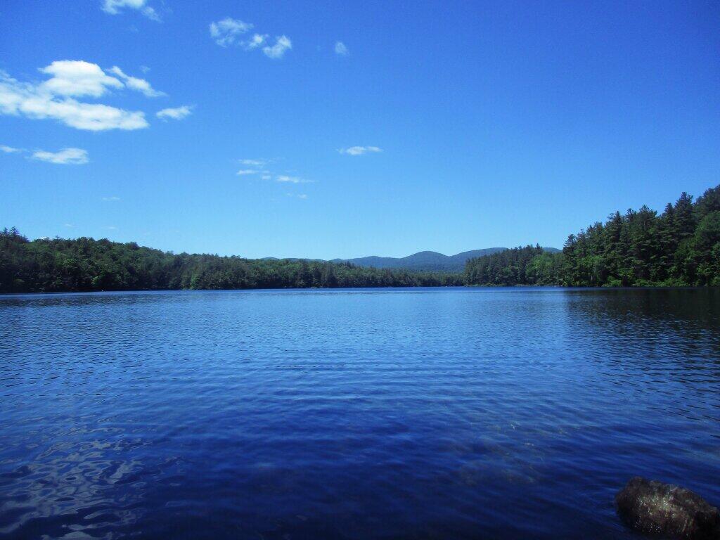 Photo: Nice Day