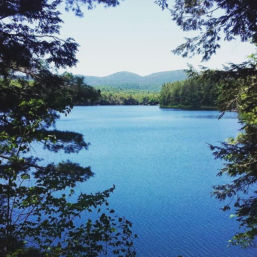 Photo: Woods Lake