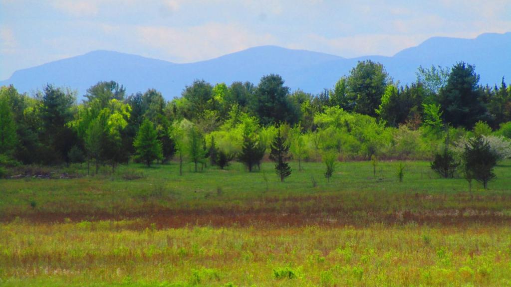 Photo: Across the Brickyards Property Towards the Catskills