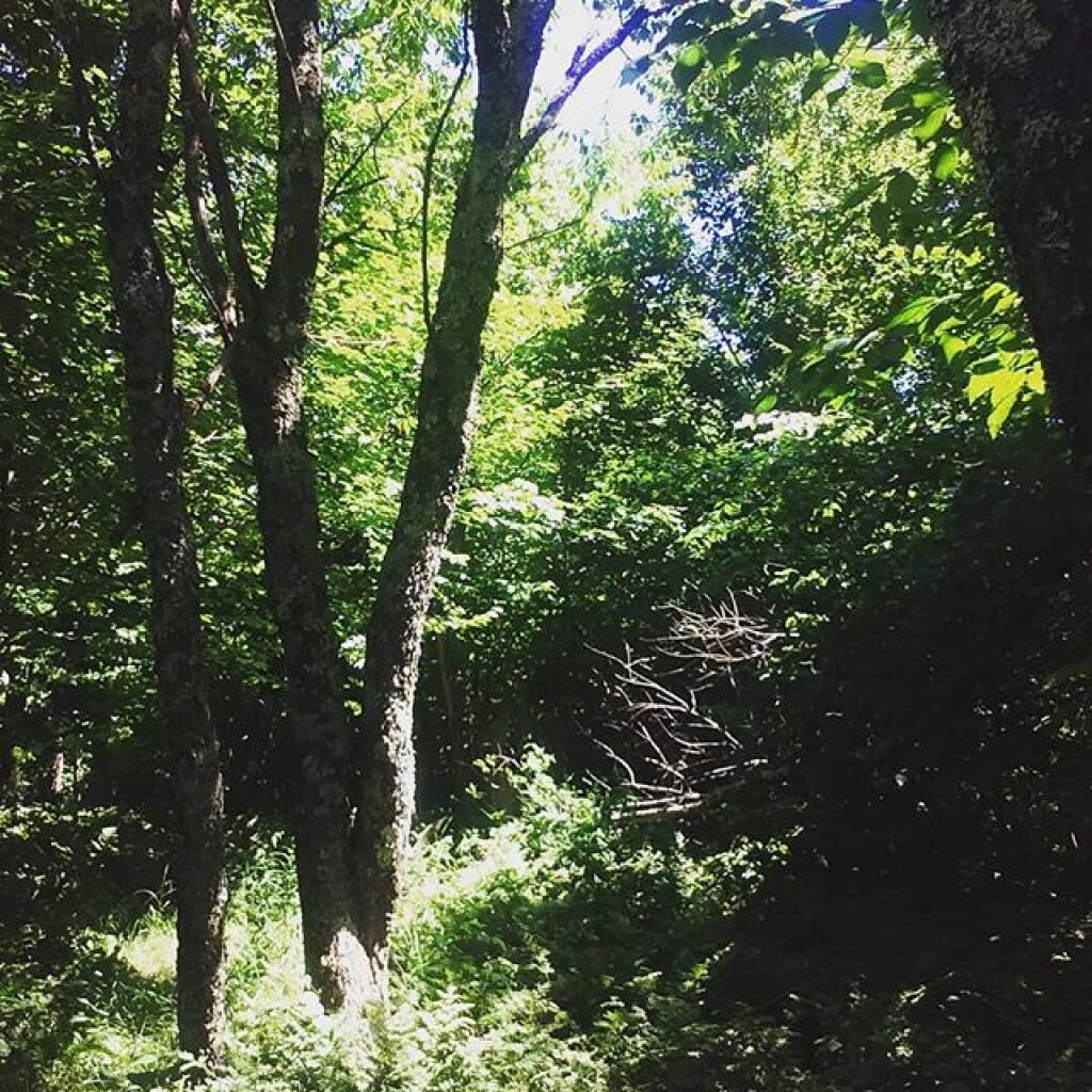 Photo: Highest point in Schoharie County