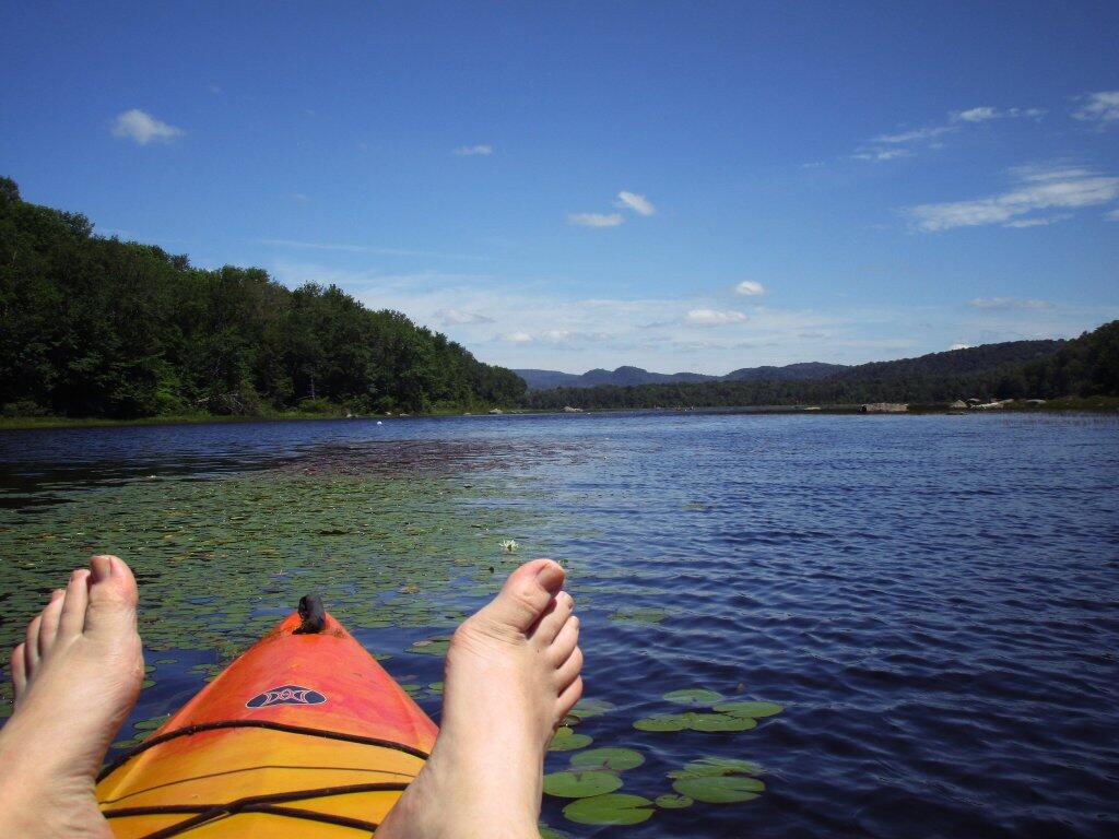 Photo: Out On Lilly Lake Photo: Out On Lilly Lake