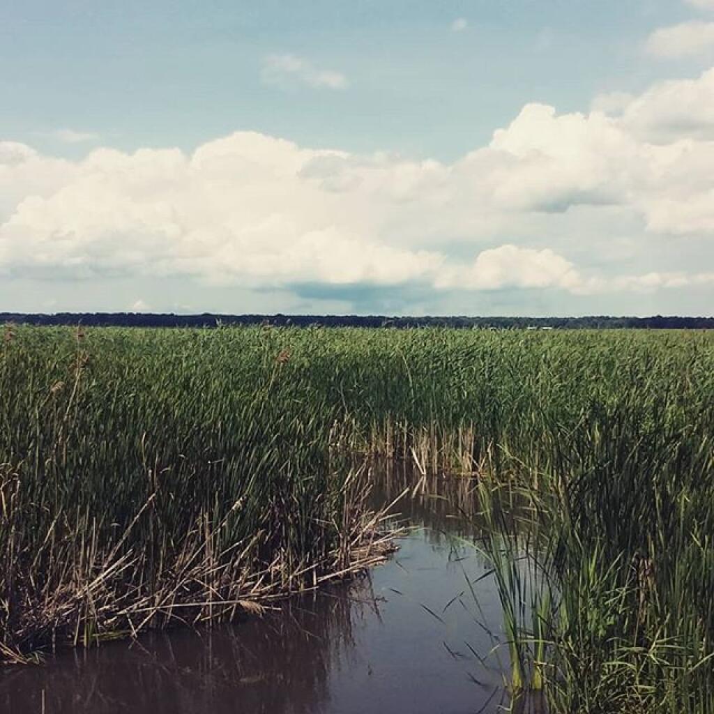 Photo: Creek