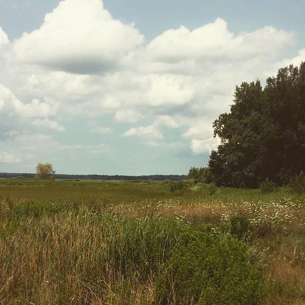 Photo: Summer day