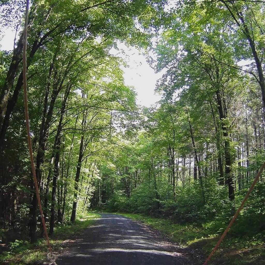 Photo: Truck Trail 8