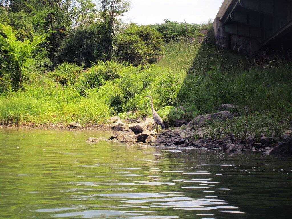 Photo: In The Shade Of The Thruway