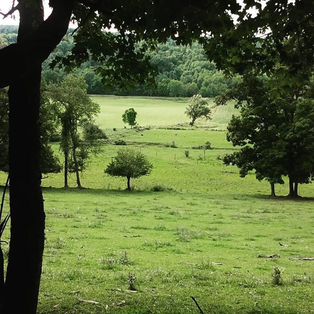 Photo: Along the trail