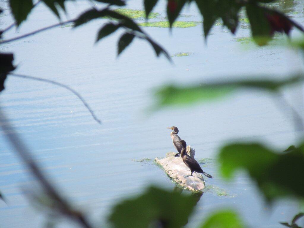 Photo: Spied