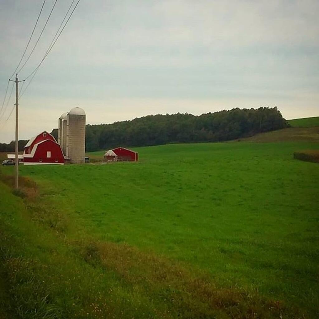 Photo: The back roads