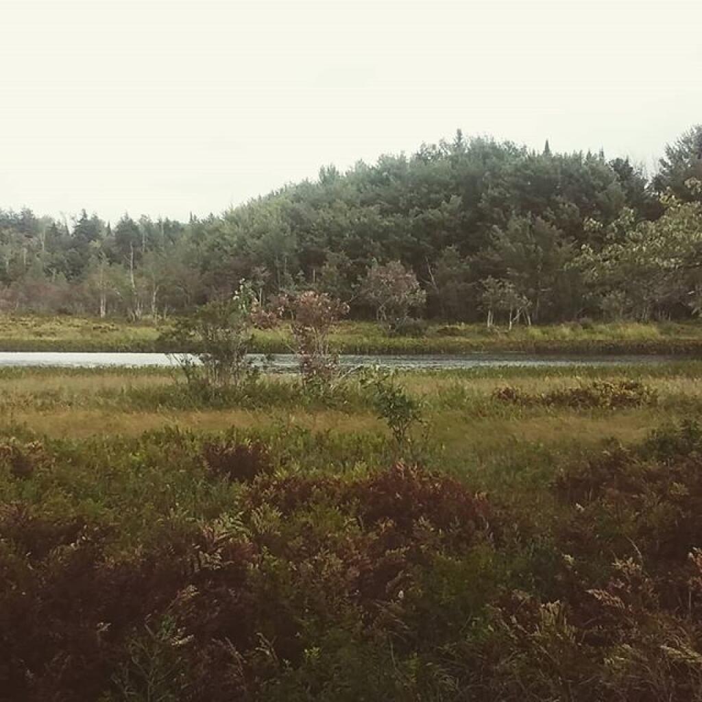 Photo: Kunjamunk River