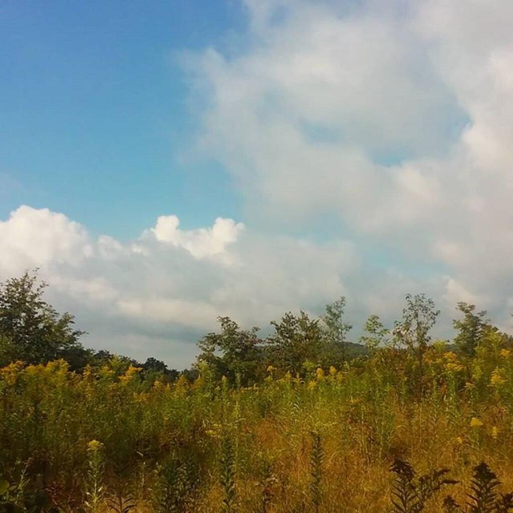 Photo: Hammock View