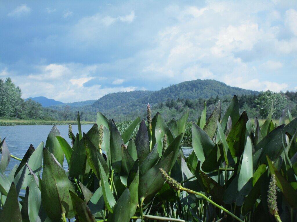 Photo: Out On The Sacandaga River