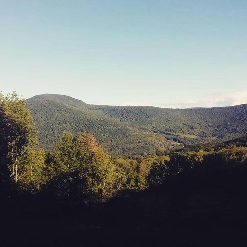 Photo: View from John Boroughs Grave Site