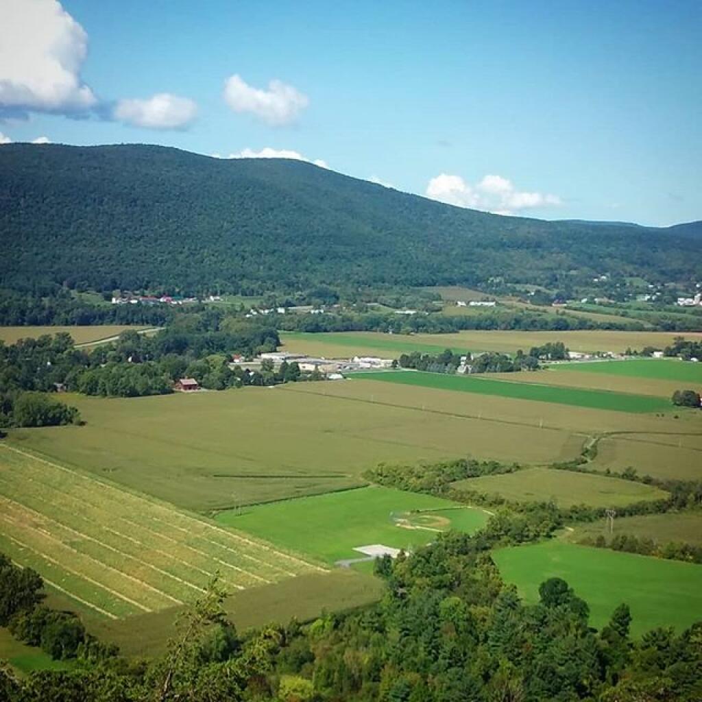 Photo: North of Middleburgh