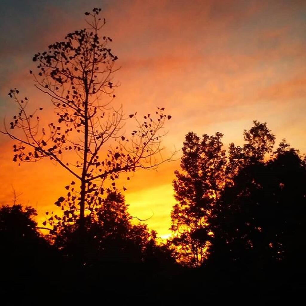 Photo: Fiery Sunset