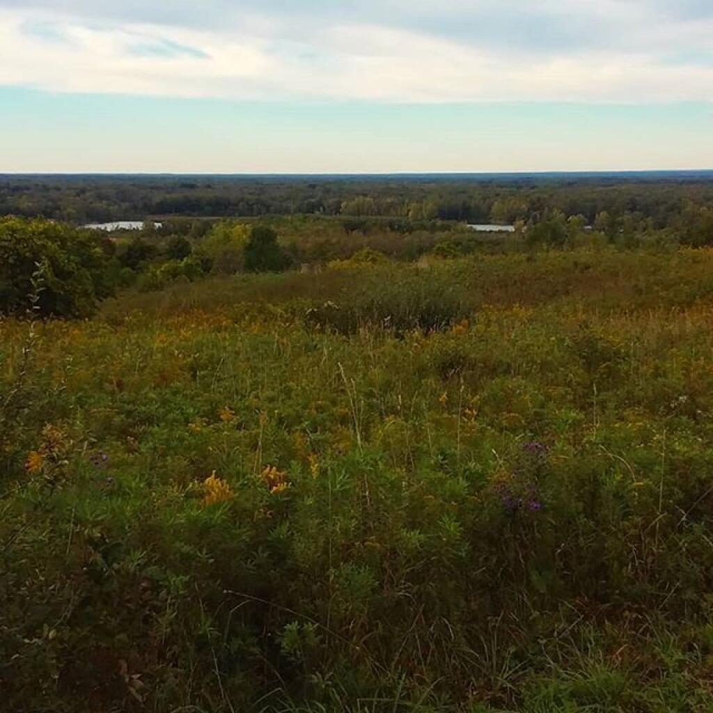 Photo: Oneida Flatlands