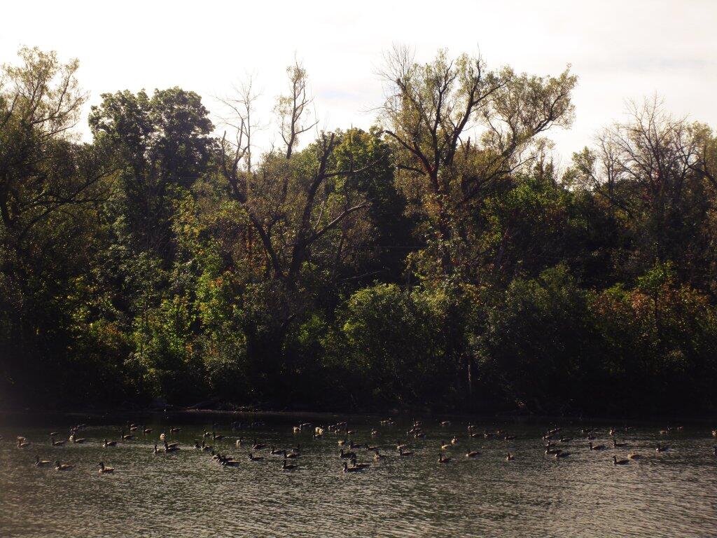 Photo: Congregation