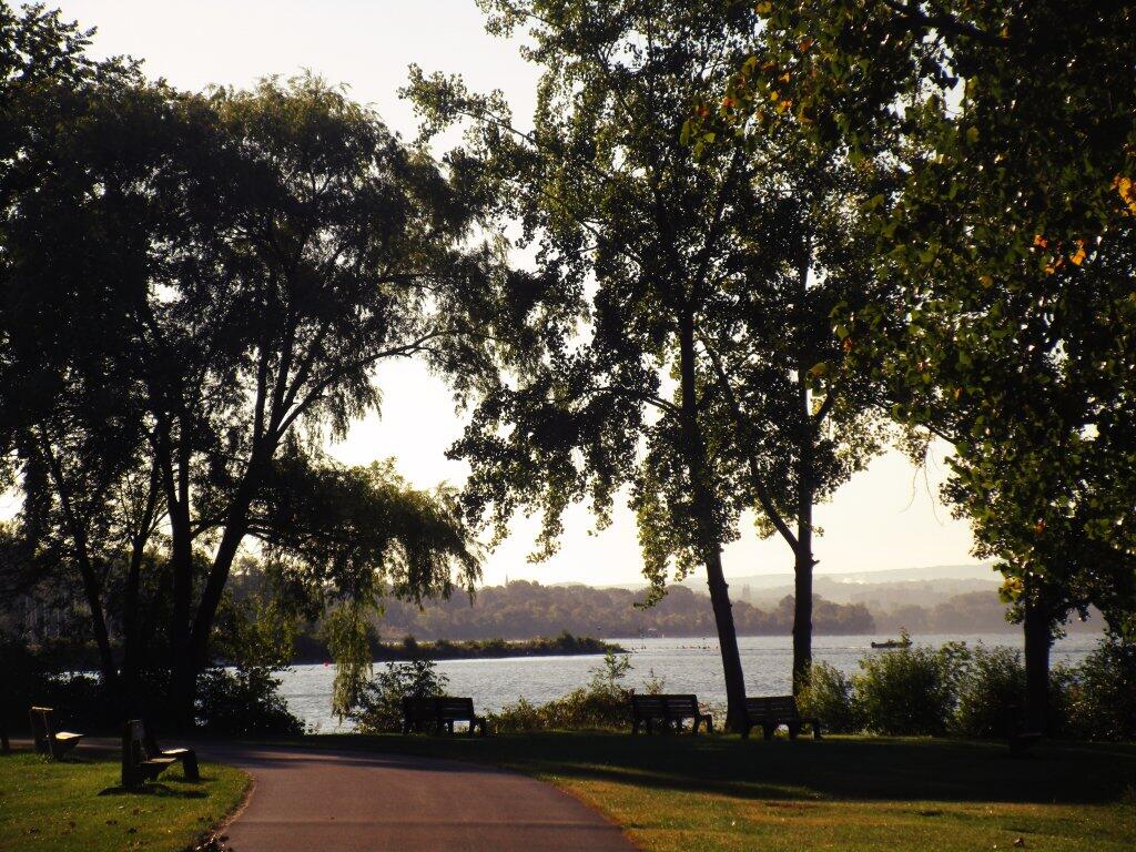 Photo: Nice Morning On The Lake