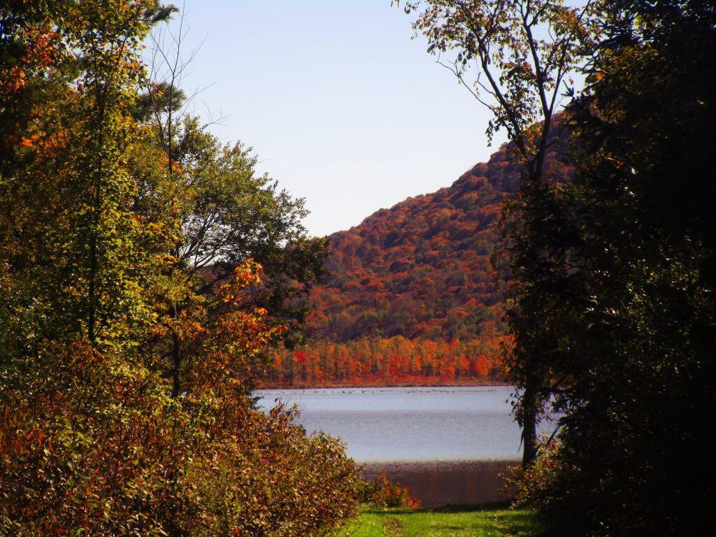 Photo: Labrador Pond From The Trail