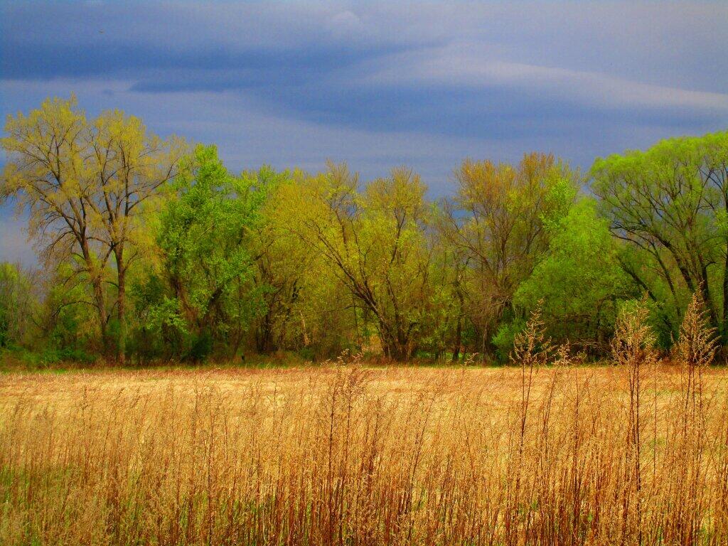 Photo: Springtime