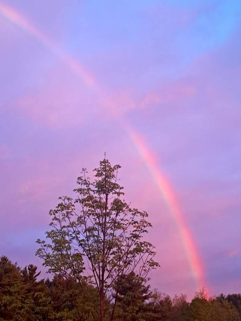 Photo: Pot of gold [Expires May 29 2026]