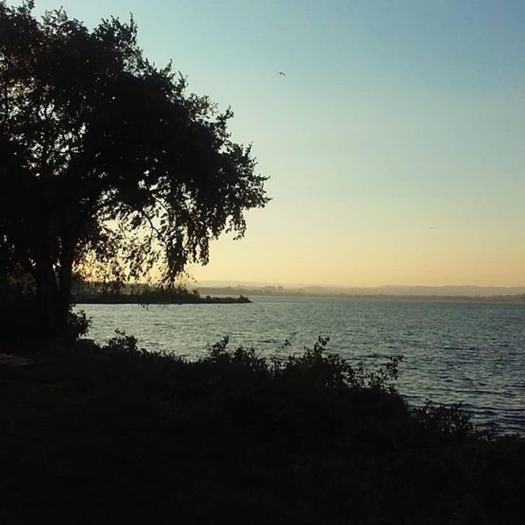 Photo: Morning
